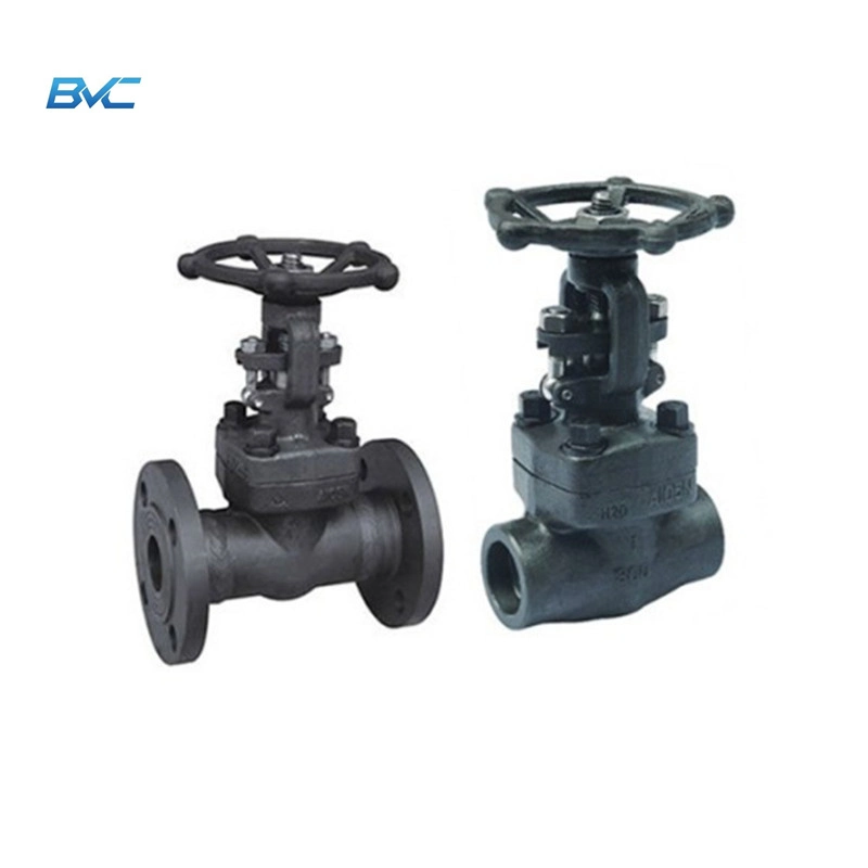 15mm-50mm Screwed and Sw Forged Gate Valves