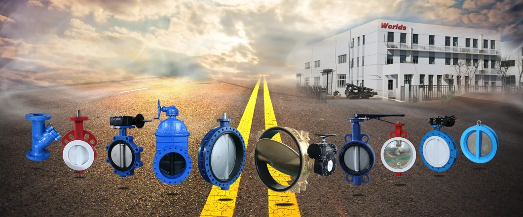 OEM ODM PTFE PFA Coaed Disc CF8 CF8m SS304 SS316 Wcb Bronze API ANSI DIN JIS BS Standard Control Butterfly Valve Gate Valve Check Valve Y Strainer